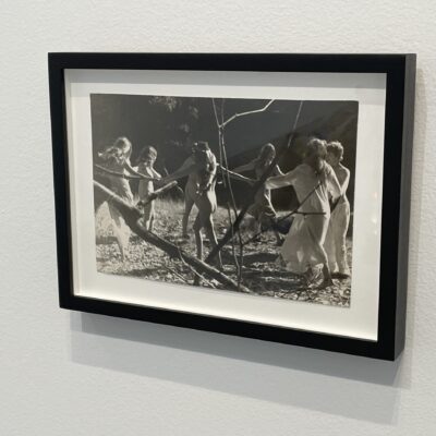 Barbara Hammer @Company