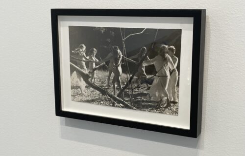 Barbara Hammer @Company