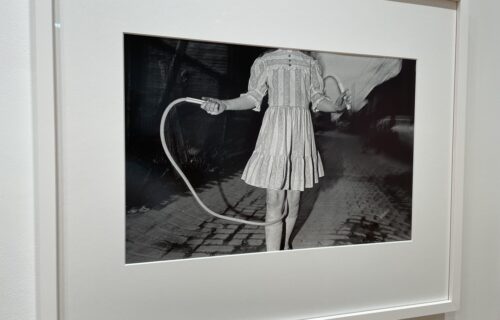 Mark Cohen @Timothy Taylor