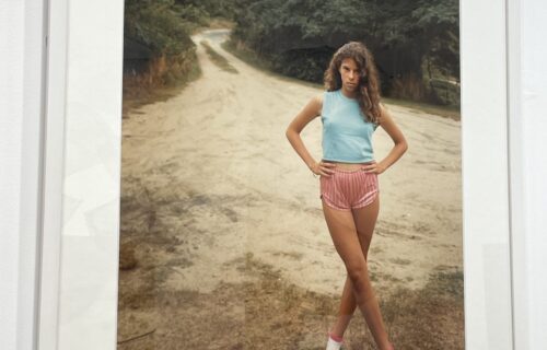 Joel Meyerowitz @Timothy Taylor