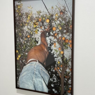 Clifford Prince King @Greene Naftali