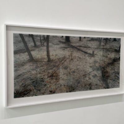 Rosemary Laing @Galerie Lelong