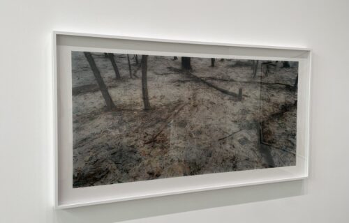 Rosemary Laing @Galerie Lelong