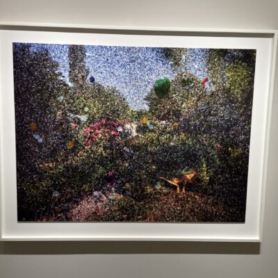Abelardo Morell @Edwynn Houk