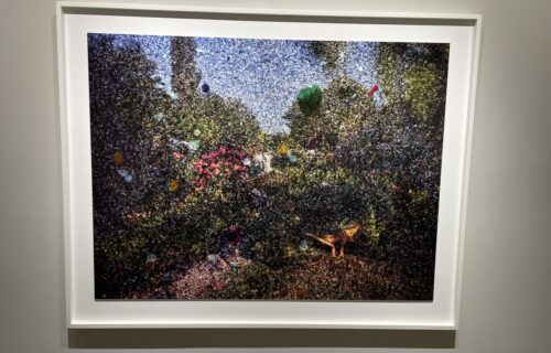 Abelardo Morell @Edwynn Houk