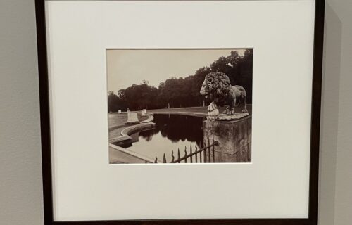 Eugène Atget @MoMA