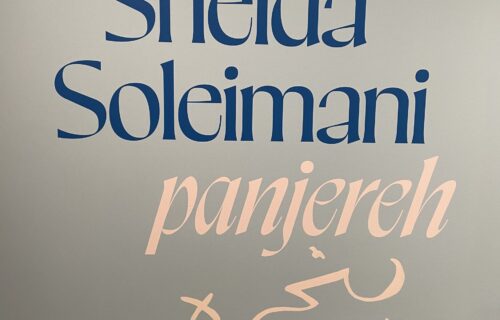 Sheida Soleimani: Panjereh @ICP