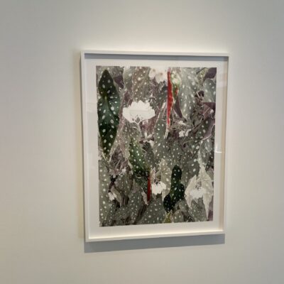 Sandi Haber Fifield @Yancey Richardson
