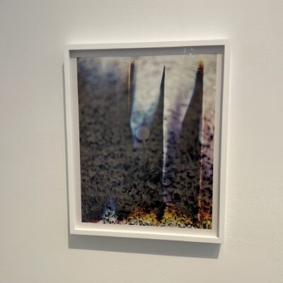 Bryan Graf @Yancey Richardson