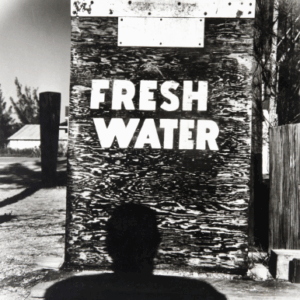 Auction Results: Photographs, September 11, 2025 @Bonhams (online)