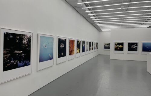 François Halard, Conversations with Claude @Ruttkowski;68