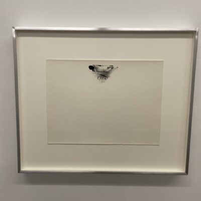 Alix Cléo Roubaud @Galerie Buchholz