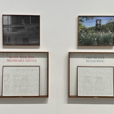 Sophie Calle @Paula Cooper