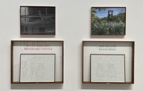 Sophie Calle @Paula Cooper