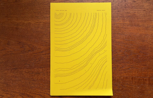 Amanda Sauer, Giant Willow Oak