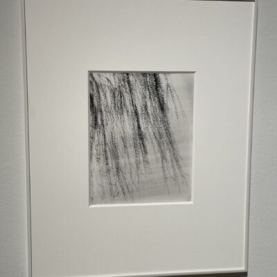 Harry Callahan @Gitterman