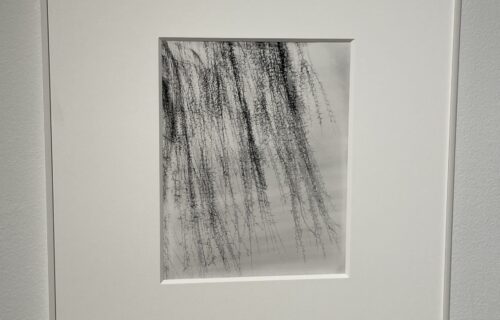 Harry Callahan @Gitterman
