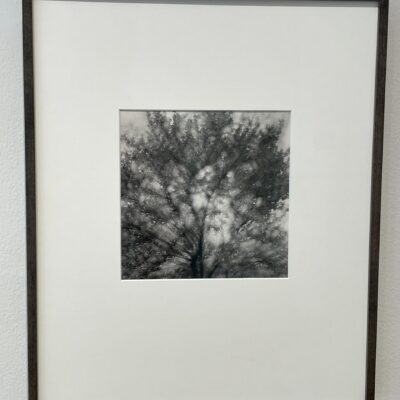 Kenneth Josephson @Gitterman