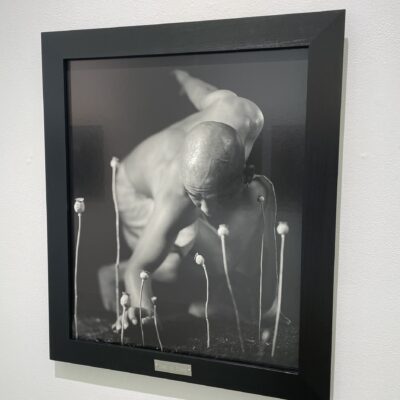 Pipo Nguyen-duy @CLAMP