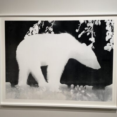 Zana Briski @601Artspace