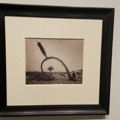 Charles Roscoe Savage @Met