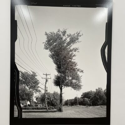 Daniel Temkin @Higher Pictures