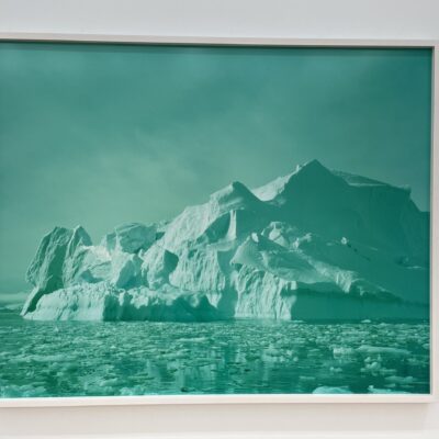 David Benjamin Sherry @Nicelle Beauchene