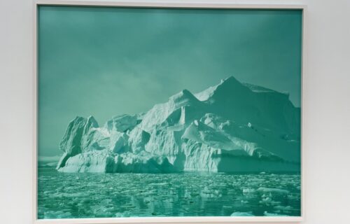 David Benjamin Sherry @Nicelle Beauchene