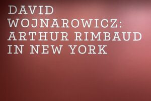 David Wojnarowicz: Arthur Rimbaud in New York @Leslie-Lohman Museum