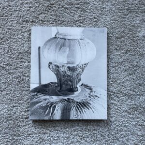 Max Pinckers, 2020-MMXX