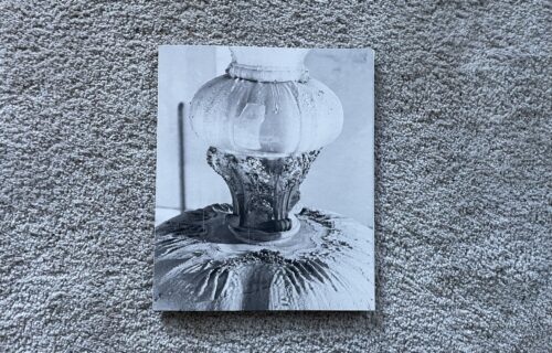 Max Pinckers, 2020-MMXX