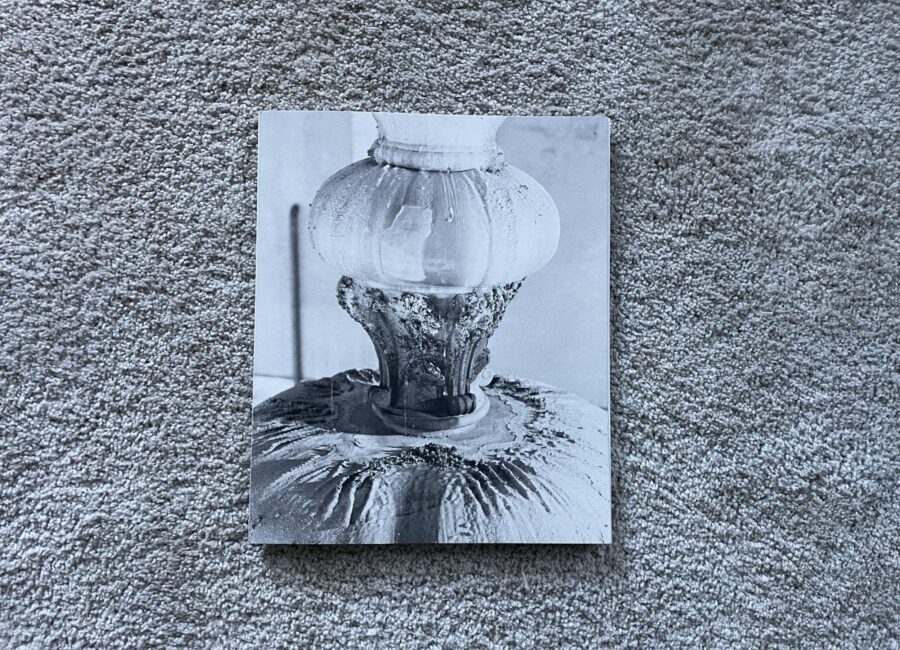 Max Pinckers, 2020-MMXX