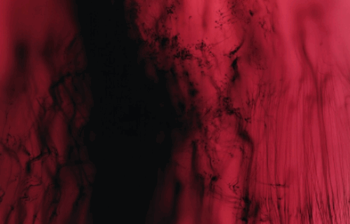 Auction Results: Contemporary Day Auction, October 17, 2025 @Sotheby’s London