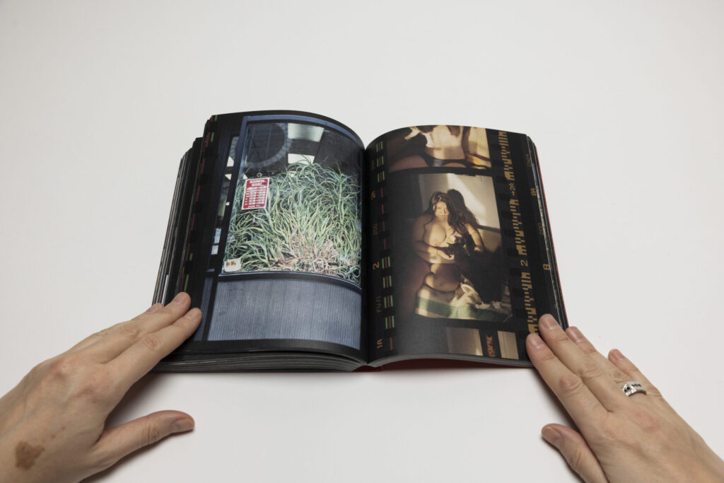 Martha Naranjo Sandoval, Small Death | Collector Daily