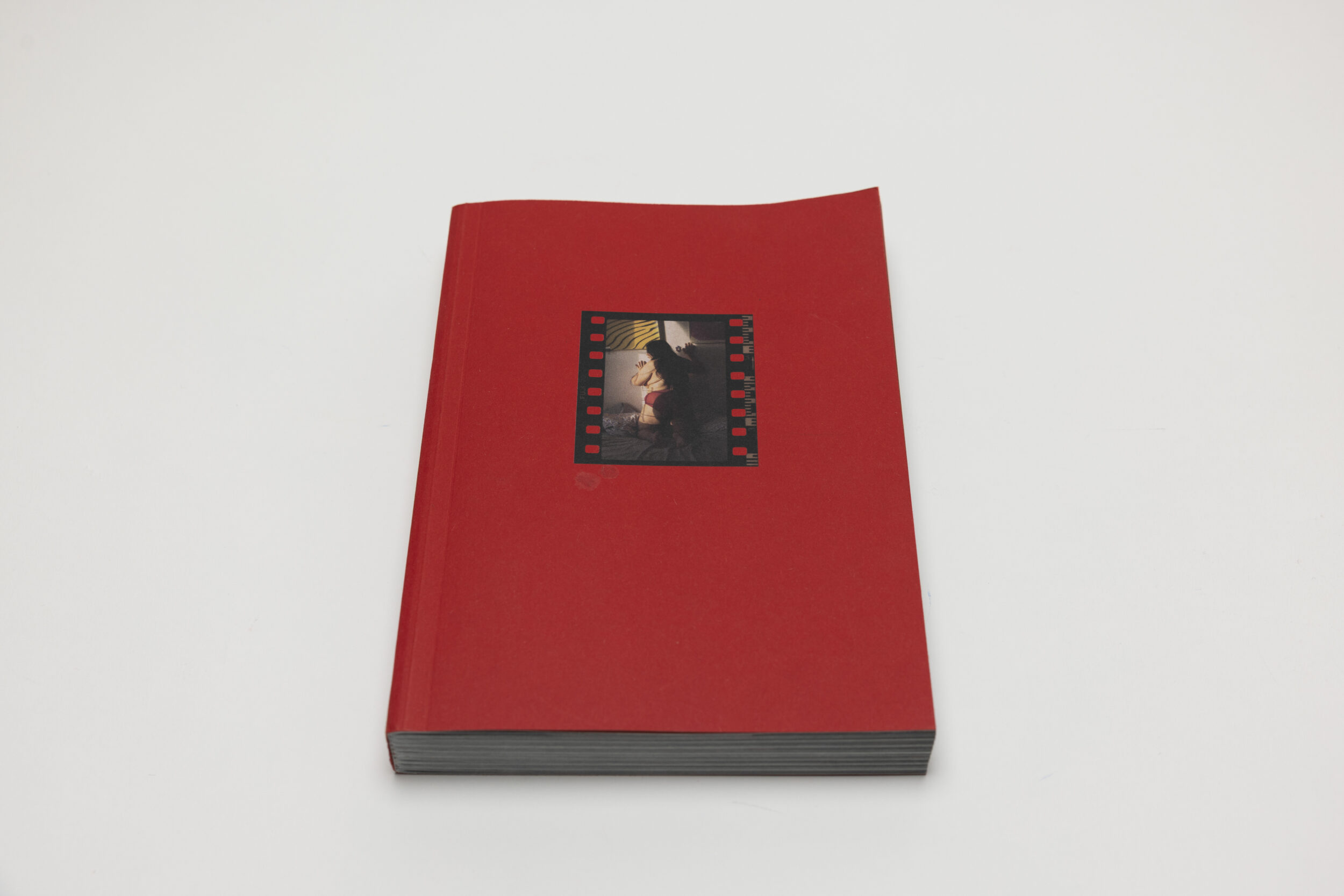 【未開封】SMALL DEATH by Martha N. Sandoval Martha Naranjo Sandoval, Small Death | Collector Daily