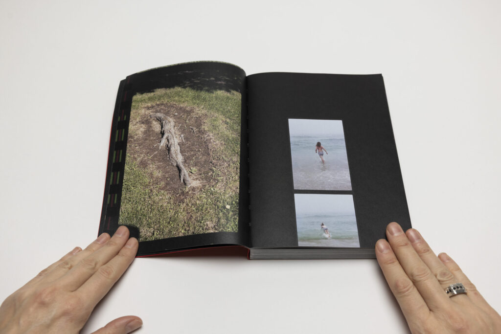 Martha Naranjo Sandoval, Small Death | Collector Daily