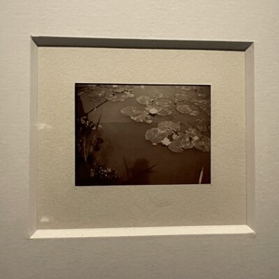 Claude Monet @Brooklyn Museum