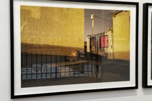 Discoveries Old and New at Paris Photo 2025, Part 5 of 5