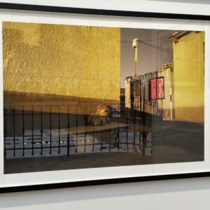 Discoveries Old and New at Paris Photo 2025, Part 5 of 5