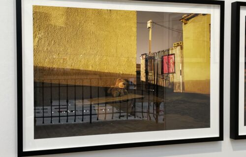 Discoveries Old and New at Paris Photo 2025, Part 5 of 5