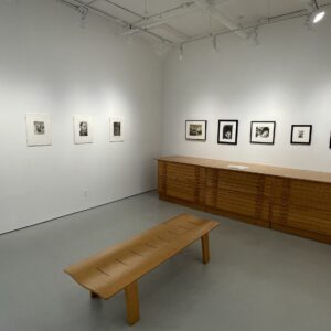 ringl + pit @Robert Mann