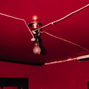 Auction Results: Elixir of Life: Photographs from The Olbricht Collection, November 19, 2025 @Sotheby’s Paris (online)