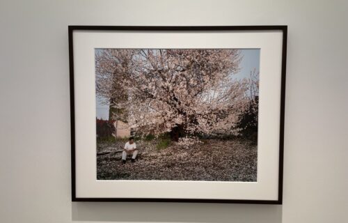 Larry Sultan @Yancey Richardson