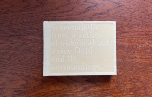 Cintia Tortosa Santisteban, Screenshots from a series of videos about a rice field and its surroundings