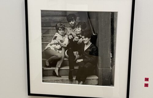 Hiram Maristany @El Museo del Barrio