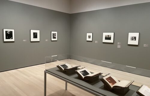 A Little Gallery of the Photo-Secession @MoMA