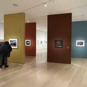 Time Travelers: Photographs from the Gayle Greenhill Collection @MoMA