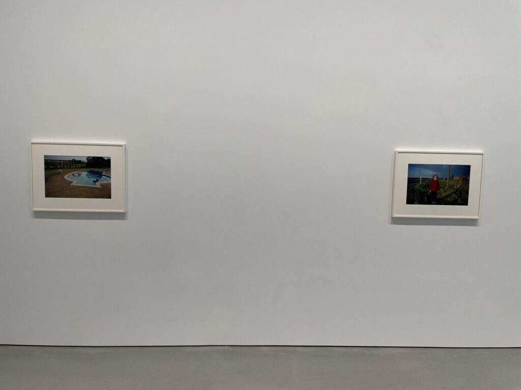 IMG_7963-1024x768.jpeg