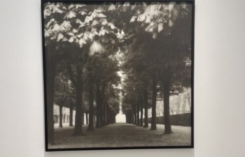 Lynn Geesaman @Yancey Richardson