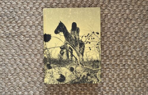 Simon Vansteenwinckel, Aux Ombres
